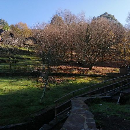 Appartamento Casa De Baixo Lousã Esterno foto